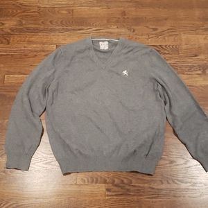 Express V-neck Sweater